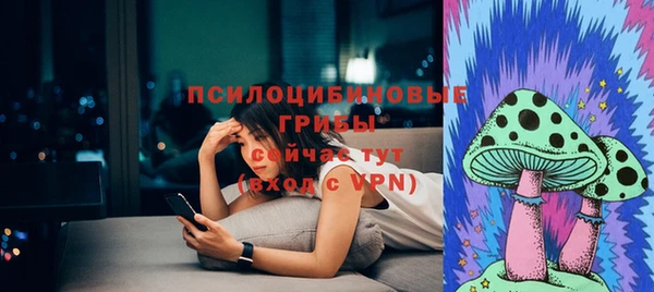 гидра Алексин