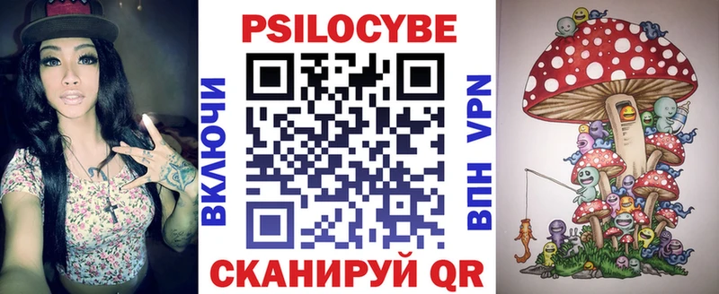 закладки  Покачи  Галлюциногенные грибы Cubensis 
